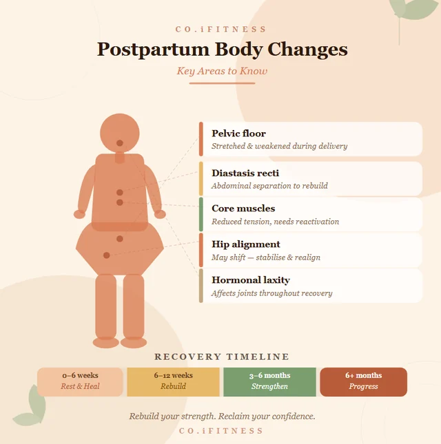 Postpartum body changes covered in the program: pelvic floor, diastasis recti, core muscles, hip alignment, hormonal laxity